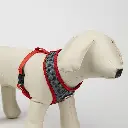 ARNES PARA PERROS MINNIE_5.webp