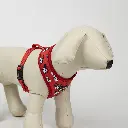 ARNES PARA PERROS MINNIE_4.webp