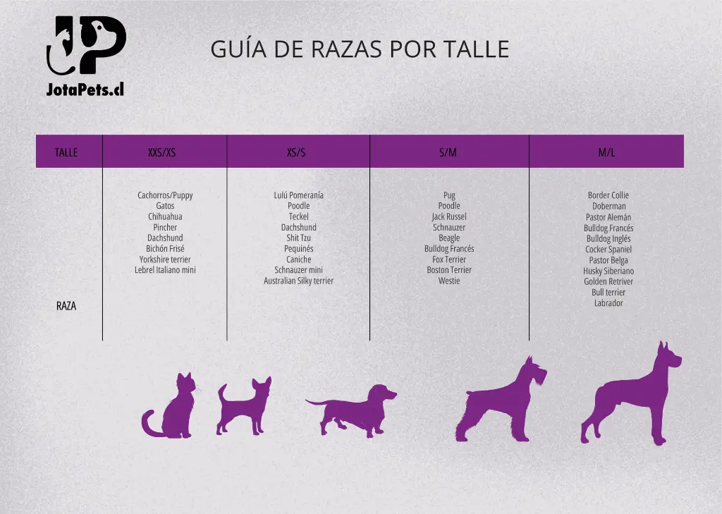 Diseño sin título (1).webp