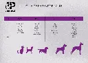 Diseño sin título (1).webp