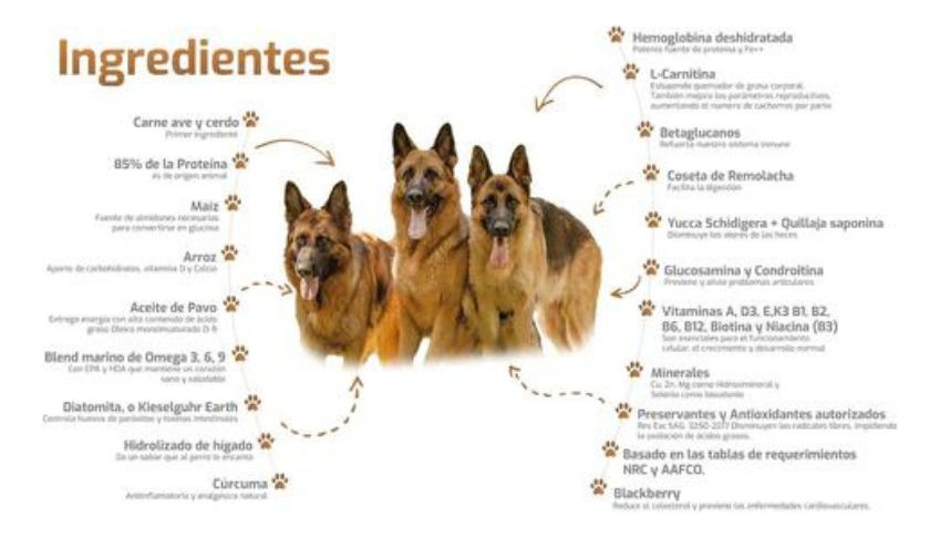 Bokato Gold 20 Kilos Rm