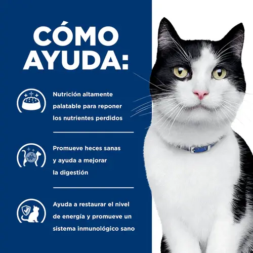 pd-id-feline-dry-productSpotlight2_500.webp