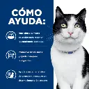 pd-id-feline-dry-productSpotlight2_500.webp