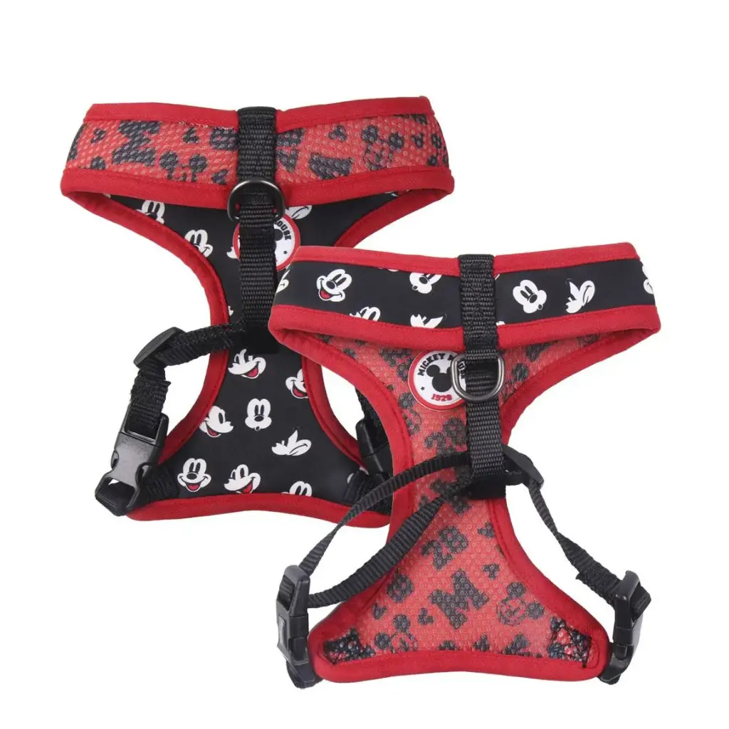Arnes Mickey Mous